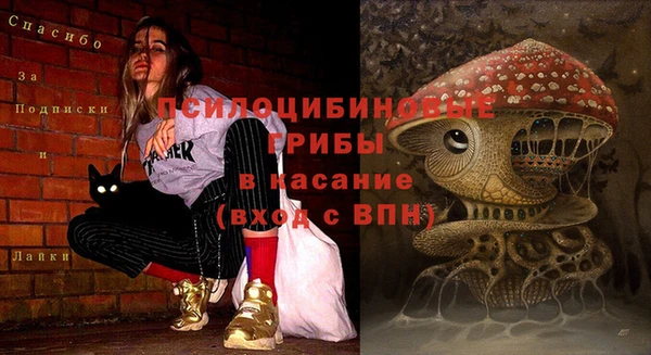 амфетамин Алексин