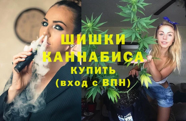 твердый Алзамай
