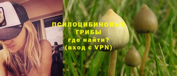 амфетамин Алексин